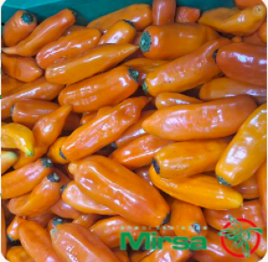 Ají Dulce - Exportaciones Mirsa